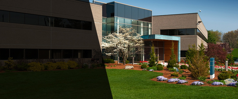 Miami Beach Landscapers