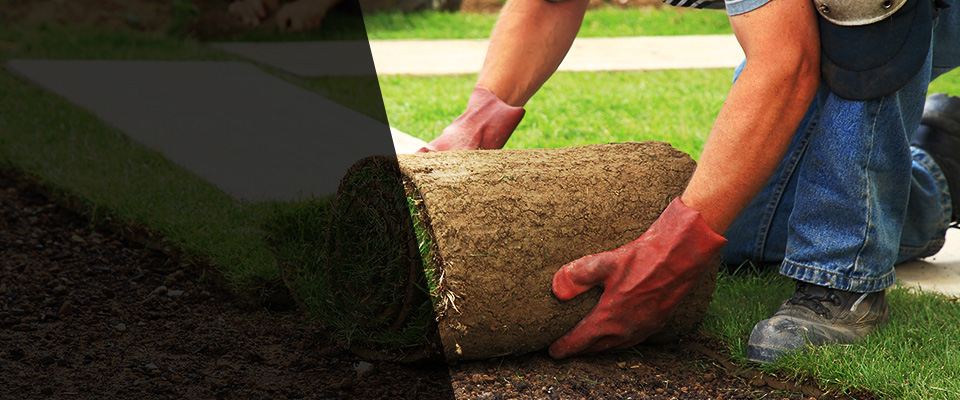 Miami Beach Landscapers